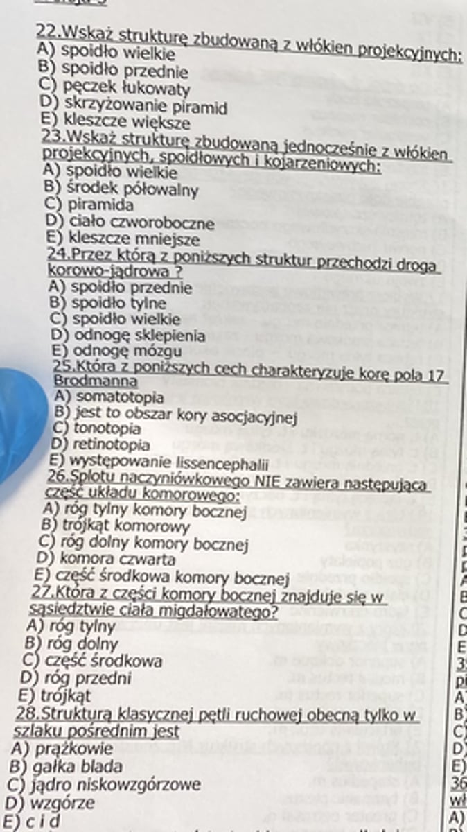 <p>22</p>