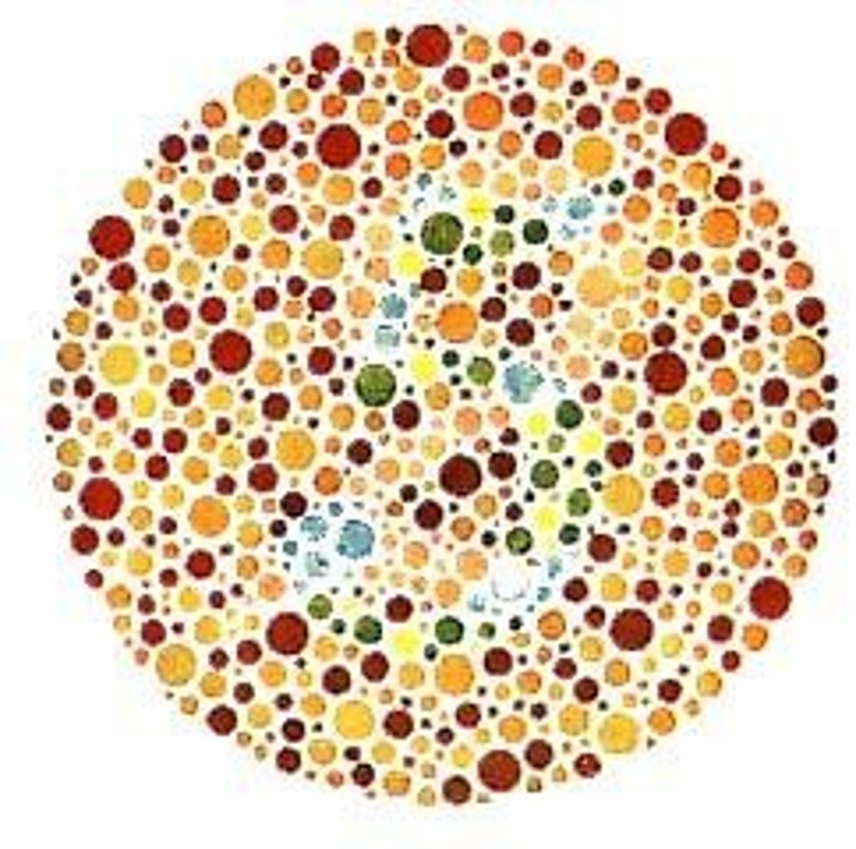 <p>Sight, hearing, taste, smell, touch.</p>