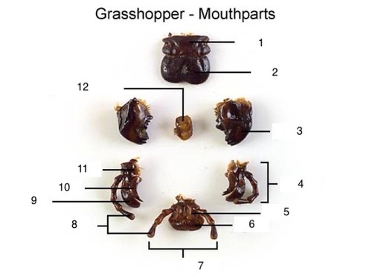 <p>9</p>