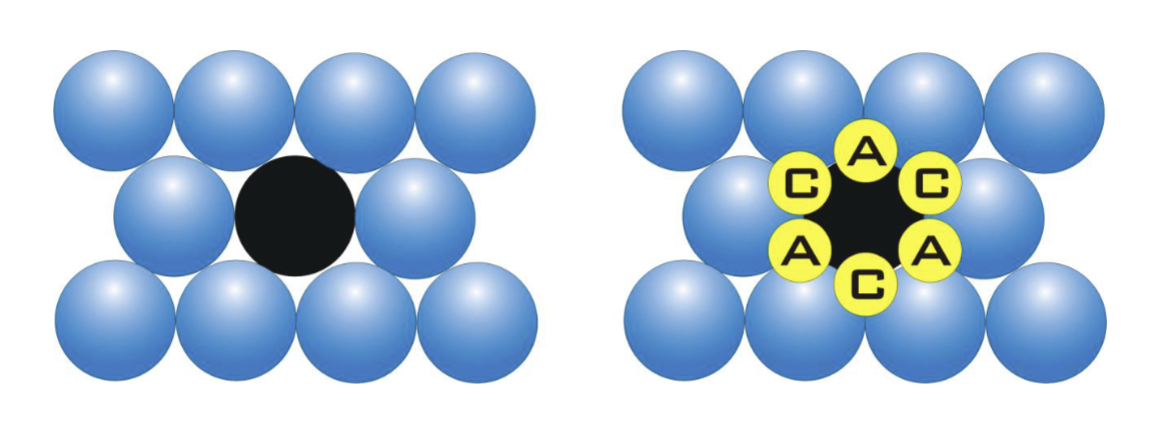<p>12</p>