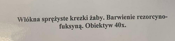 <p>odporna na wiele czynnikówm ystępują pojedynczio, rozgałęziają się i tworzą sieci, rozciągliwe</p>