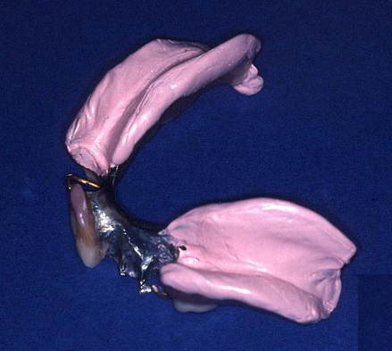 <p>What is this image showing? (2</p>