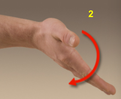 <p>What movement is this?</p>