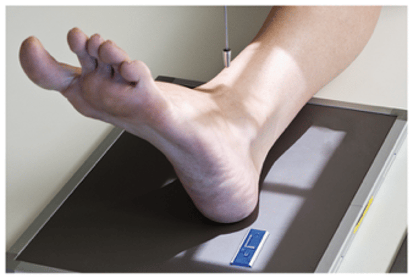 <p>What projection is this?</p>