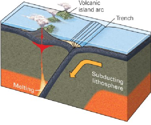 <ul><li><p>in ocean ocean collisions, the older plate (more time to cool = more dense) will be the subducting plate</p><ul><li><p>creates island arcs</p></li><li><p>EX Aleutian Islands</p></li></ul></li></ul><p></p>