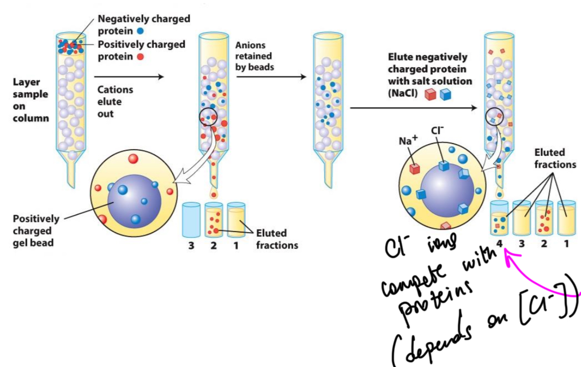 <p>Name of this method (electric charge)</p>
