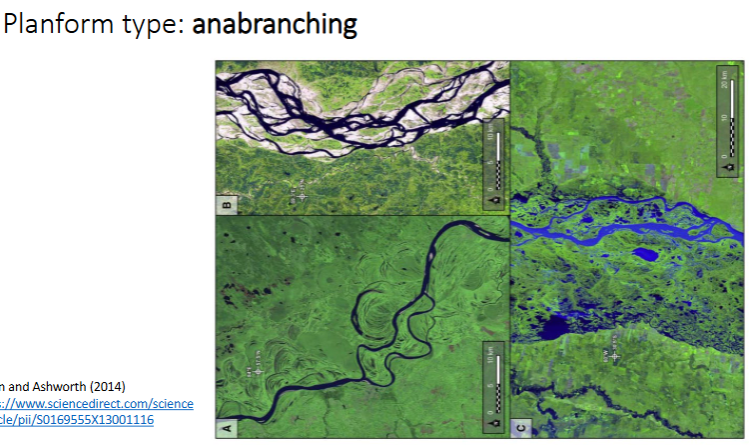 <p>Channels that split off and re-join onto the main river. It's different to braided as it is divided by vegetated islands</p>