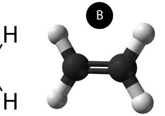 <p>exist when 2 atoms share more than one pair of electron</p>