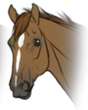 <p>What facial marking is this?</p>