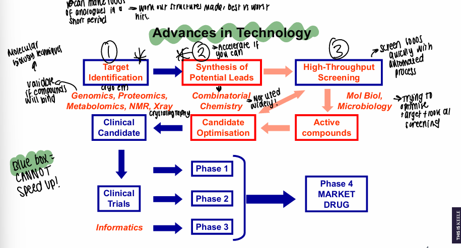 <p>Blue = cannot speed up those processes, try to speed up red </p>
