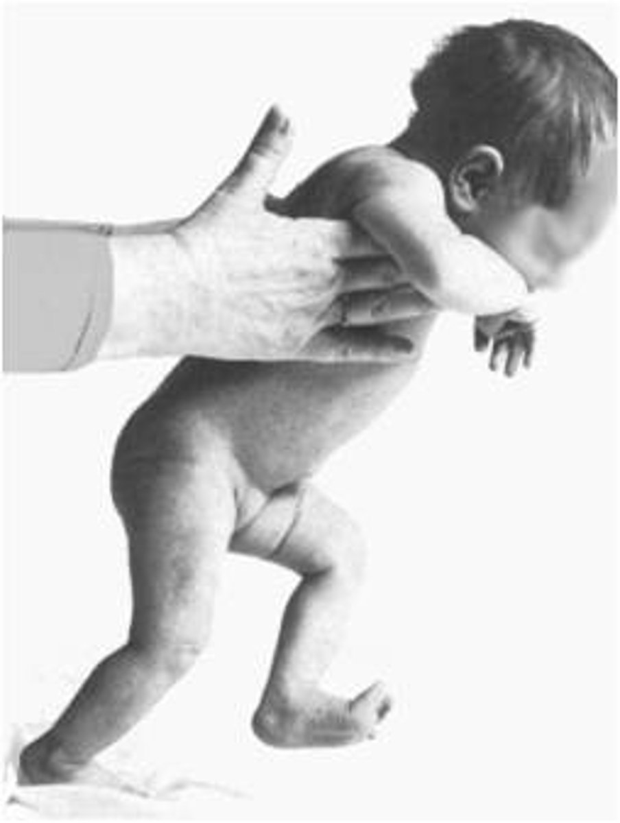 <p>hold the baby upright with his/her feet touching a flat surface; baby will move his/her legs as if she/she is walking or trying to take steps, even though the baby is too young to walk</p>