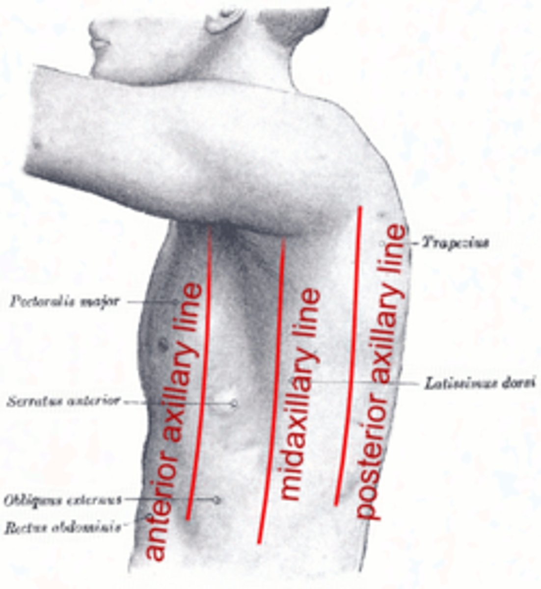 <p>Middle of the armpit</p>