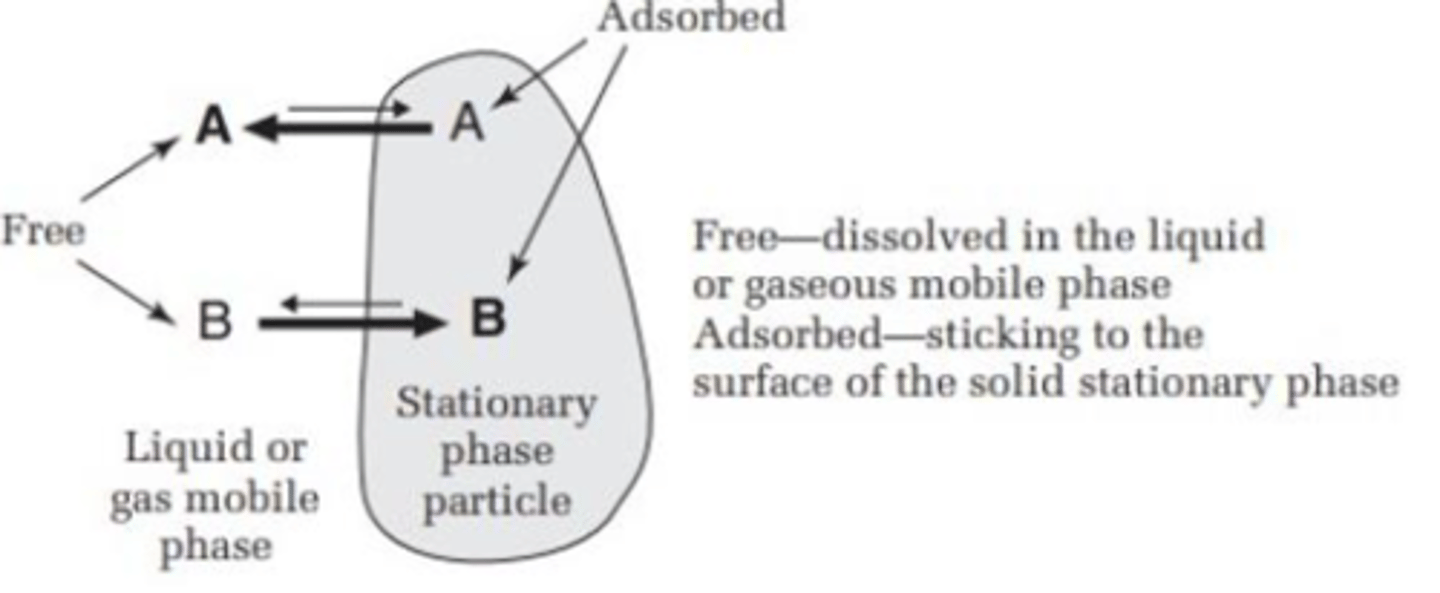 <p>sticking to the surface of the solid stationary phase</p>