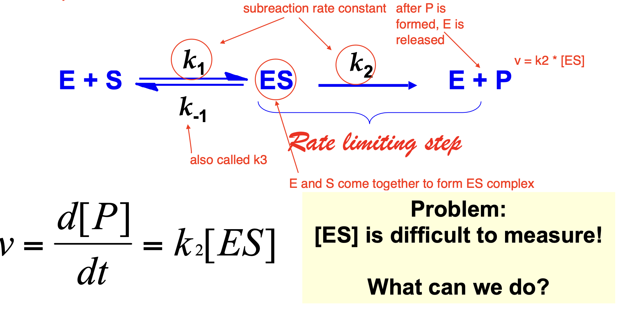 <p>describes behavior of enzymatic reaction system</p><ul><li><p>the first subreaction is forming the ES complex, which is a reversible reaction with a rate constant k1 (reverse reaction is k-1 or also called k3)</p></li><li><p>the second reaction is the creation of the product and the release of the enzyme from the ES complex, this is the rate limiting step and has a rate constant k2</p></li><li><p>since the rate of the reaction is essentially dependent on the concentration of the ES complex, we can rewrite the equation for the rate as v = k2[ES]</p></li></ul><p></p>