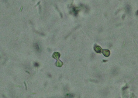 <p></p>
