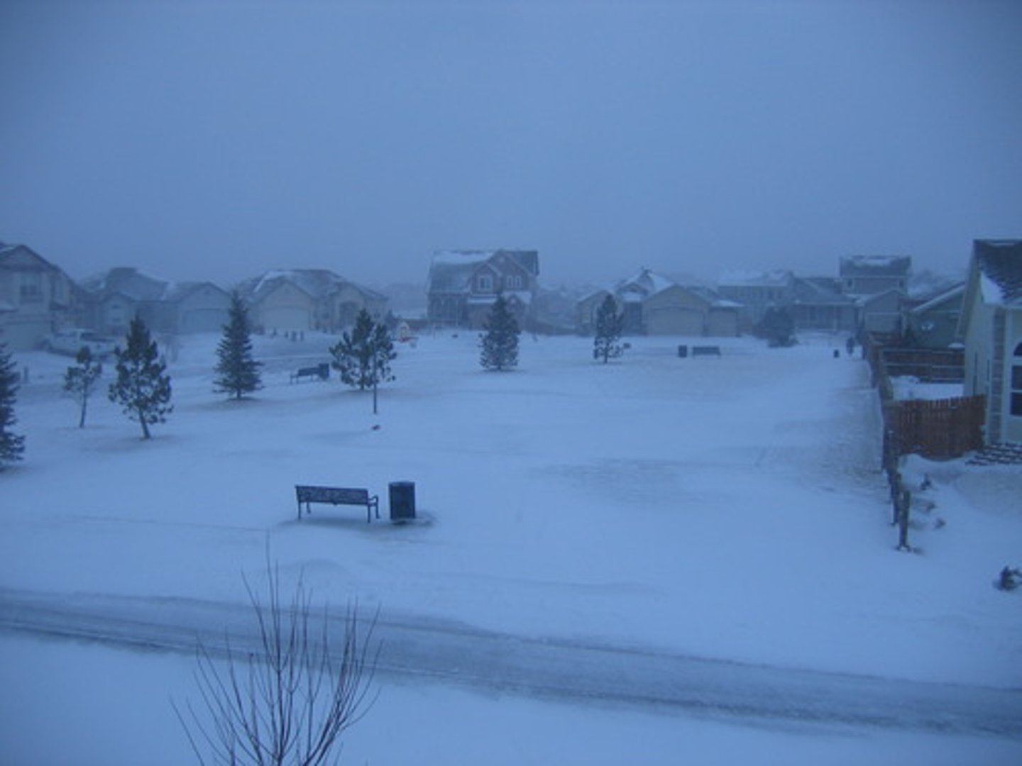 <p>a severe snowstorm with strong winds</p>