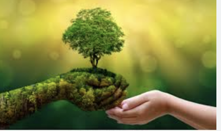 <p>The wise use of and preservation of natural resources</p>