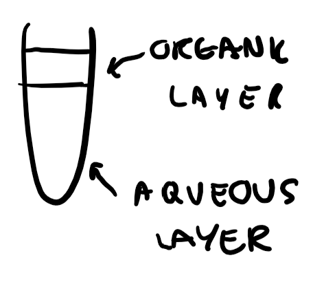 <p>Aqueous layer and organic layer  </p>