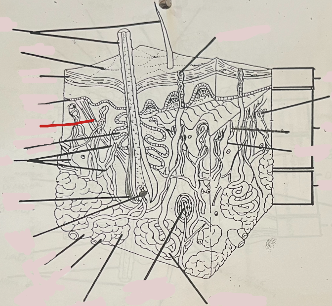 <p>What is this?</p>