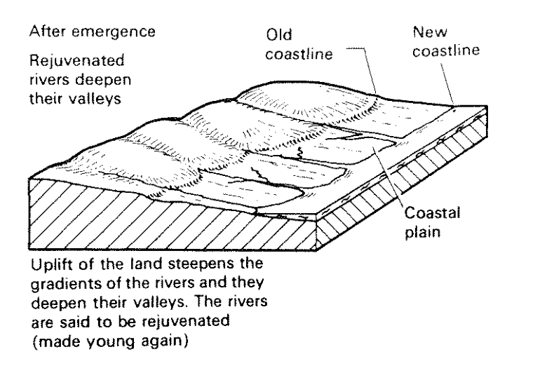<p>What coast is shown here?</p>