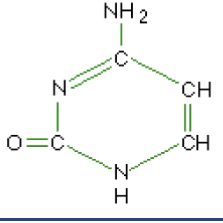 <p>What macromolecule is this?</p>