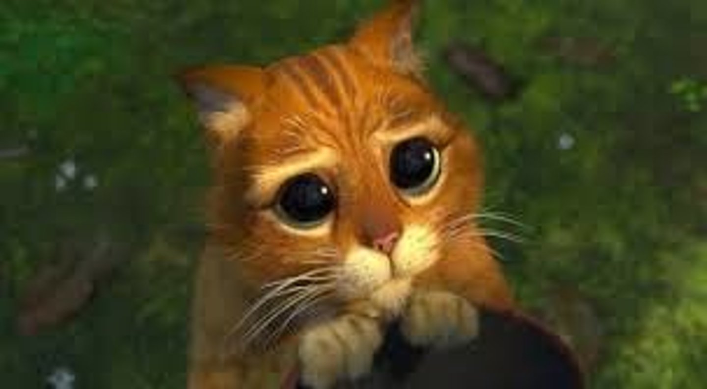 <p>to be sorry</p>