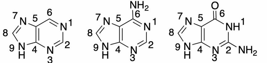 <p>Benenne die Moleküle</p>