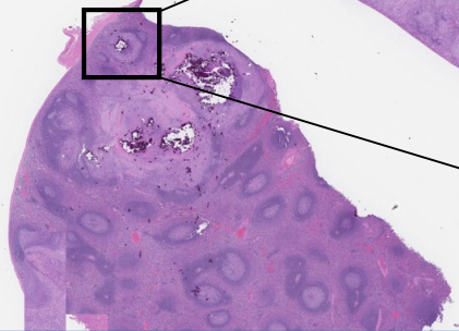 <p>What does this image show?</p>