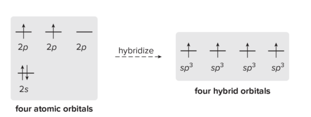 <p>2 or more orbitals combine to form same number of hybrid orbitals, which leads to each having the same shape and energy </p>