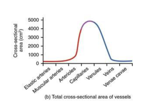 <p>capillaries have the highest because it’s not individual, instead based on the cross-sectional area of all capillaries added together</p>