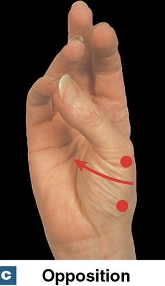<p>returning thumb to the zero position</p>