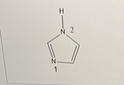 <p>In imidazole, nitrogen 1 is more basic than nitrogen 2.</p><p class="p1">What is this due to?</p><p>A. The lone pair on nitrogen 2 is perpendicular to the -system in the ring.</p><p>B. ﻿﻿The lone pair on nitrogen 2 is co-planar to the -system in the ring.</p><p>C. The lone pair on nitrogen 1 is perpendicular to the -system in the ring.<br>D. The lone pair on nitrogen 1 is co-planar to the -system in the ring.</p>