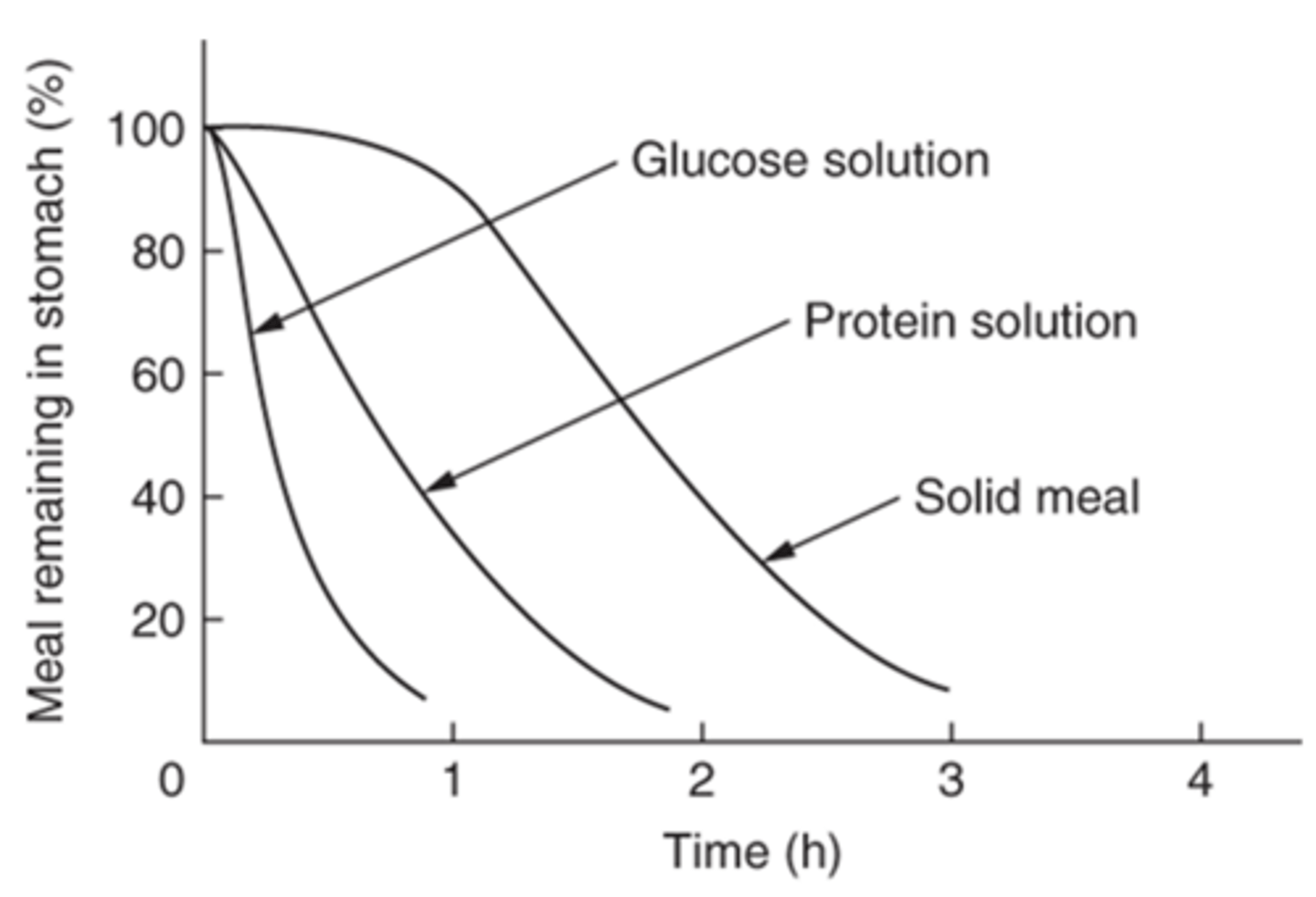 <p>food particle size affects rate of gastric emptying -> lipid = quick, protein = slow, solid = slowest</p>