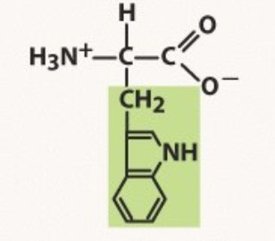 Aromatic
-you must TRY to remember the largest structure
