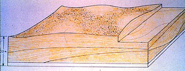 <p>Hummocky cross stratification</p>