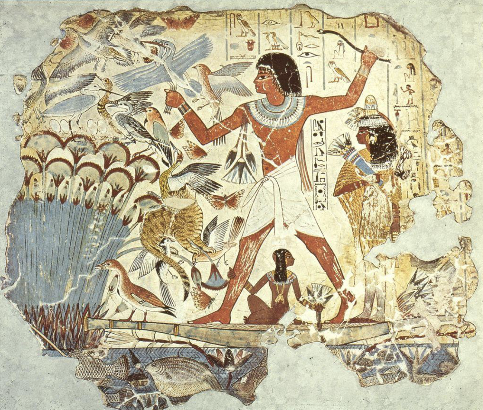 term image