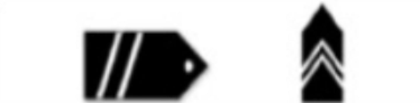 <p>What is this Cadet Rank?</p>