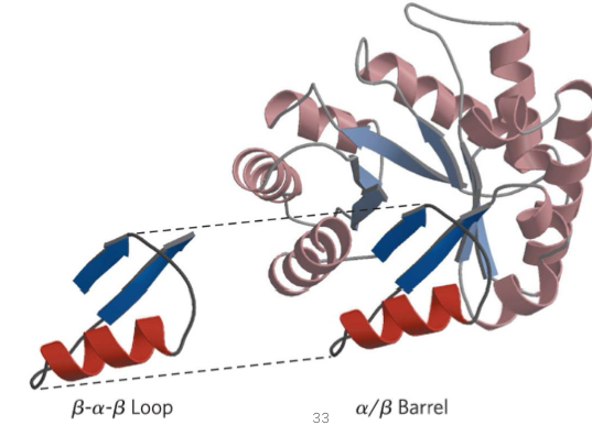 <p>fold with 2+ elements of secondary structure</p><p>beta-alpha-beta loop or beta barrel</p>
