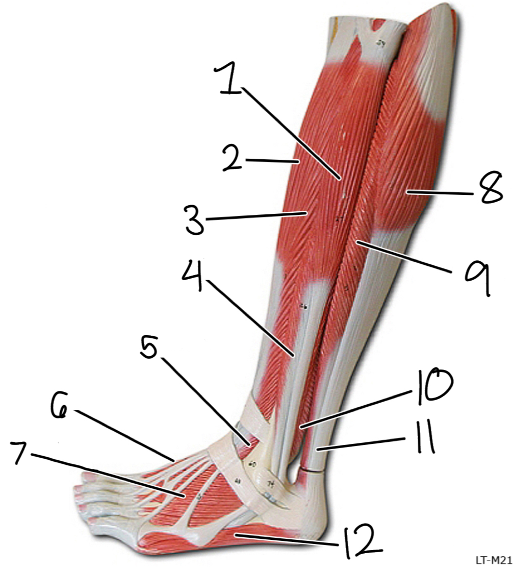 <p>1</p>