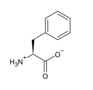 <p>Phenylalanine </p>