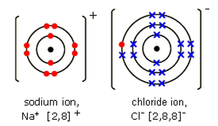 <p>metal and non-metal elements bonding</p>