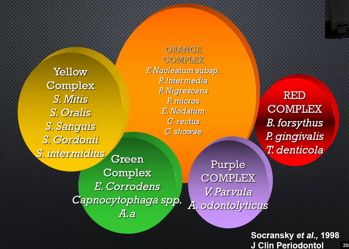 <p>Primary Colonizers:</p><ul><li><p>Yellow: S. mitis, S. Oralis, S. Sanguis, S. Gordonii, S. intermedius</p></li><li><p>Green Complex: E. Corrodens, Capnocytophaga. A.a</p></li><li><p>Purple Complex: V. Parvula, A. odontolyticus</p></li></ul><p>Secondary Colonizers: </p><ul><li><p>Orange Complex: F. nucleatum, P. intermedia, P. nigrescens, P. Micros, E. Nodatum, C. Rectus, C. Showae</p></li><li><p><span style="color: red">Red Complex: T. denticola, P. gingivalis and B. Forsythus</span></p></li></ul><p></p>