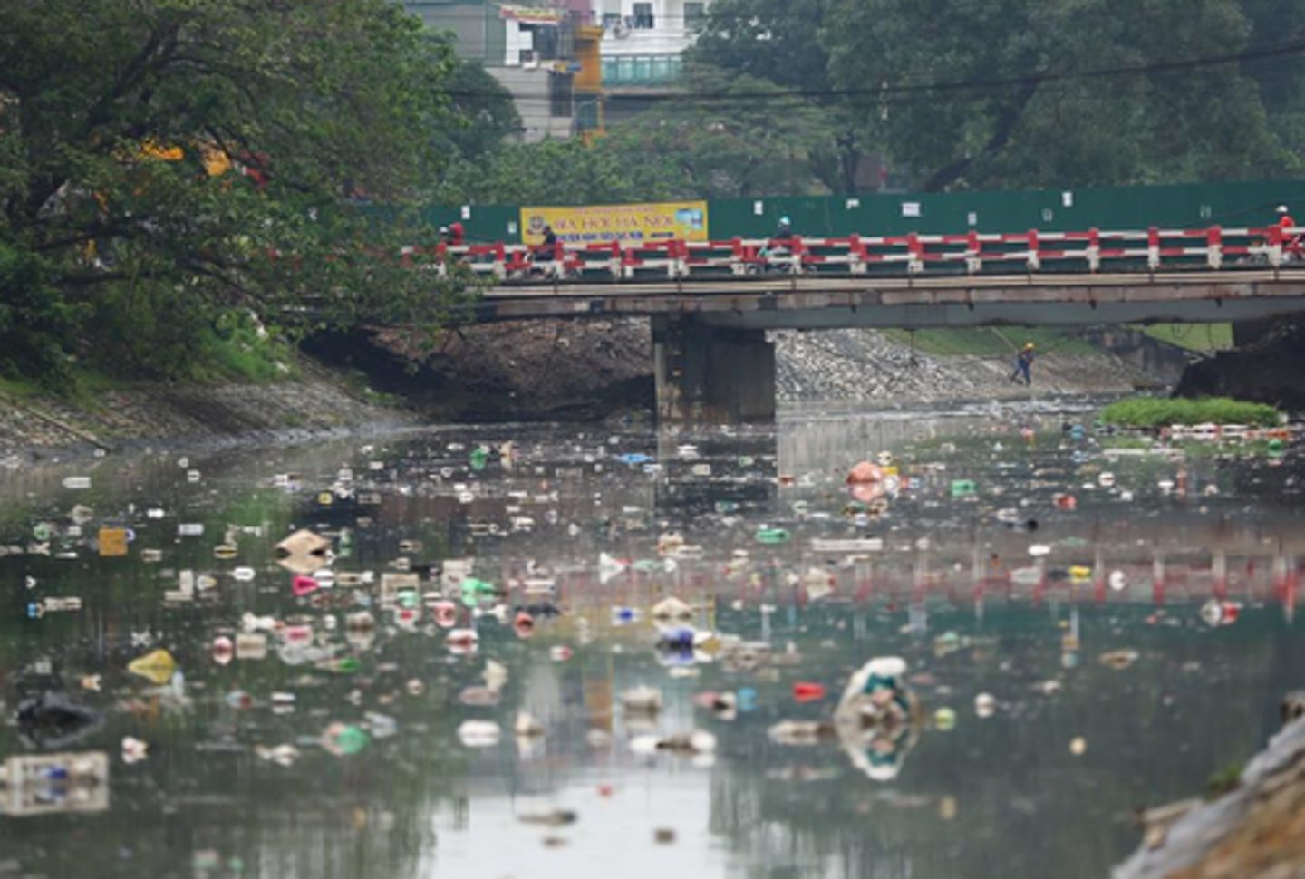 <p>bị ô nhiễm</p>