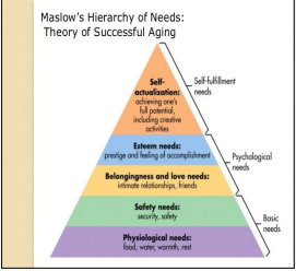 <p>Maslow’s Hierarchy of Human Needs</p>