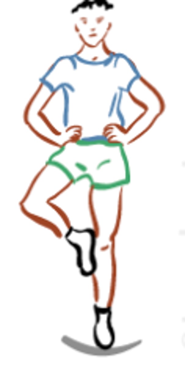 <p>Staying steady and not falling</p>