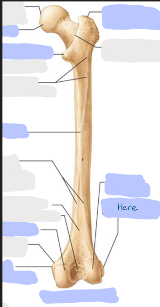 <p>What is here?</p>