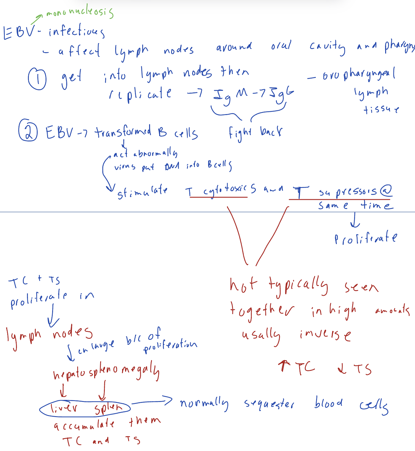 knowt flashcard image