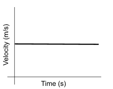 <p>Describe the graph’s <strong>(1) slope, (2) velocity, and (3) acceleration</strong>.</p>