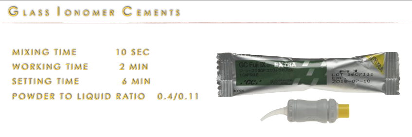 <ul><li><p>self cured</p></li><li><p>for protective restorations, endo access, base/ build up</p></li><li><p>mixing time: 10 sec</p></li><li><p>working time: 2 min</p></li><li><p>setting time: 6 min</p></li></ul><p></p>