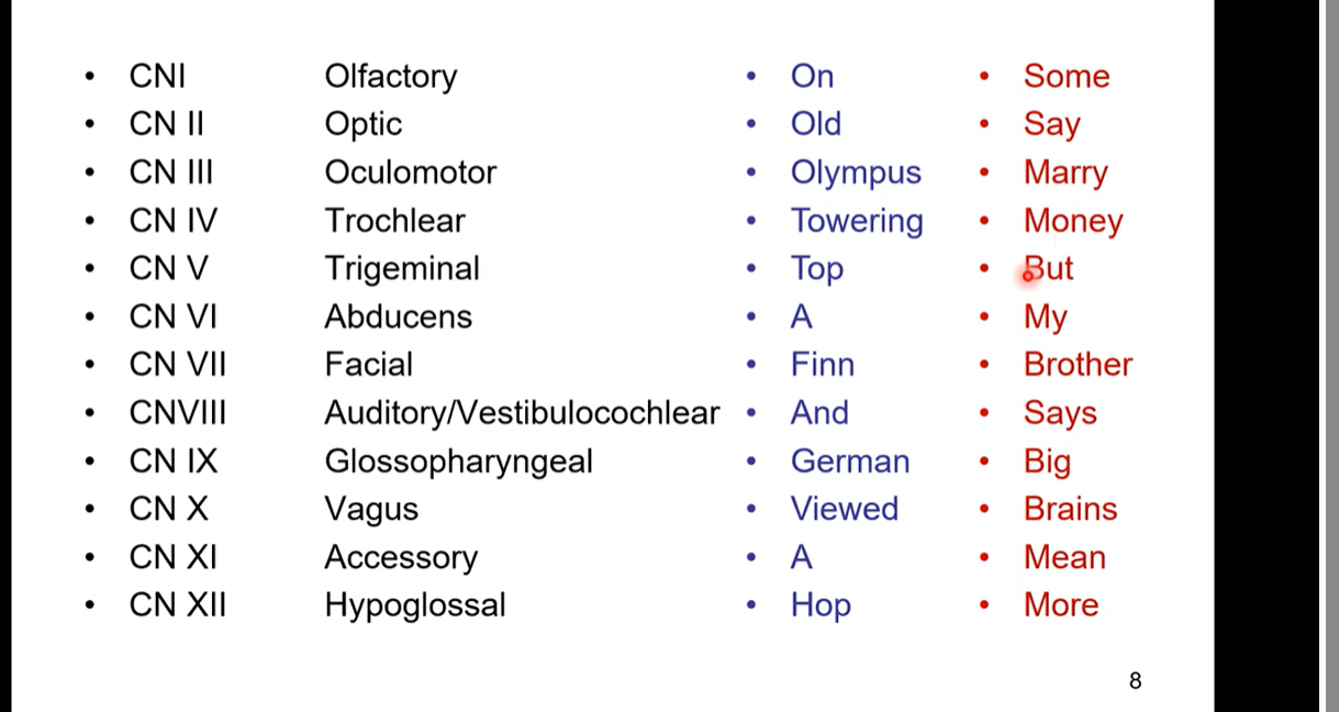 <ul><li><p>CNI- olfactory  (sensory)</p></li><li><p>CN II - optic (sensory)</p></li><li><p>CN III - oculomotor (motor)</p></li><li><p>CN IV - Trochlear (motor)</p></li><li><p>CN V - Trigeminal (both sensory and motor)</p></li><li><p>CN VI abducens (motor)</p></li><li><p>CN VII - facial (both sensory and motor)</p></li><li><p>CNVIII - Auditory/ Vestibulocochlear (sensory)</p></li><li><p>CN IX - Glossopharyngeal (both sensory and motor)</p></li><li><p>CN XI - accessory (motor)</p></li><li><p>CN XII hypoglossal (motor)</p></li></ul><p></p>